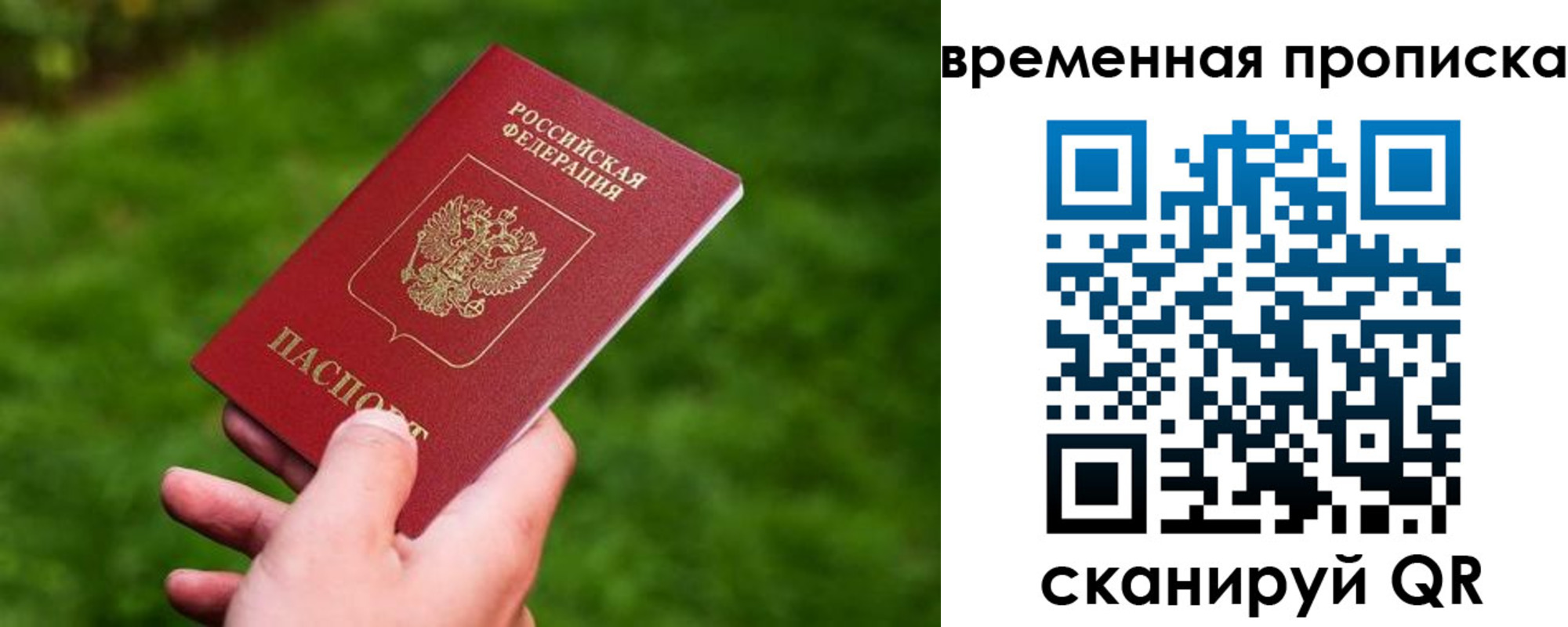 прописка ребенка в Шатуре